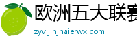 欧洲五大联赛第一个六冠王